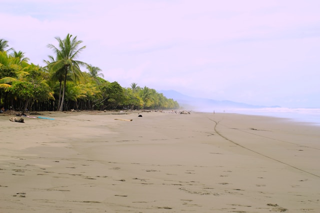 A huge empty and clean beach somewhere in the tropic.