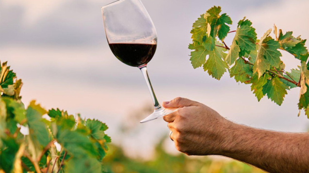 when-wine-also-cares-for-the-earth-2